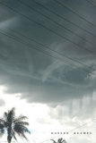 Lismore funnel picture