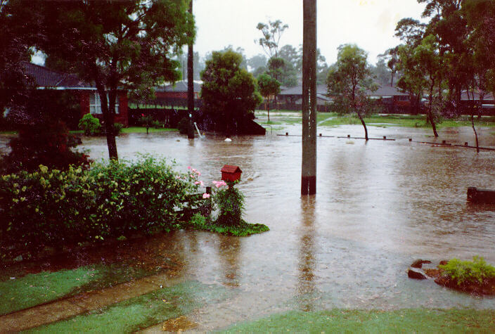 contributions received : Prospect, NSW<BR>Photo by Peter Brien   1 November 1987