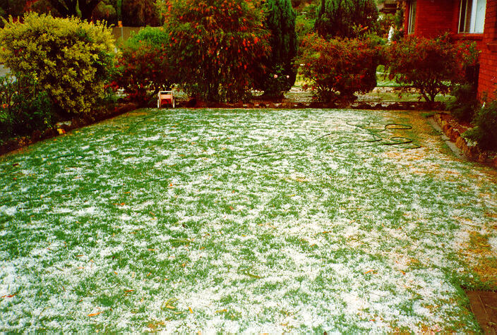 contributions received : Prospect, NSW<BR>Photo by Peter Brien   1 November 1988