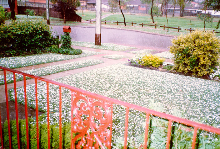 contributions received : Prospect, NSW<BR>Photo by Peter Brien   1 November 1988