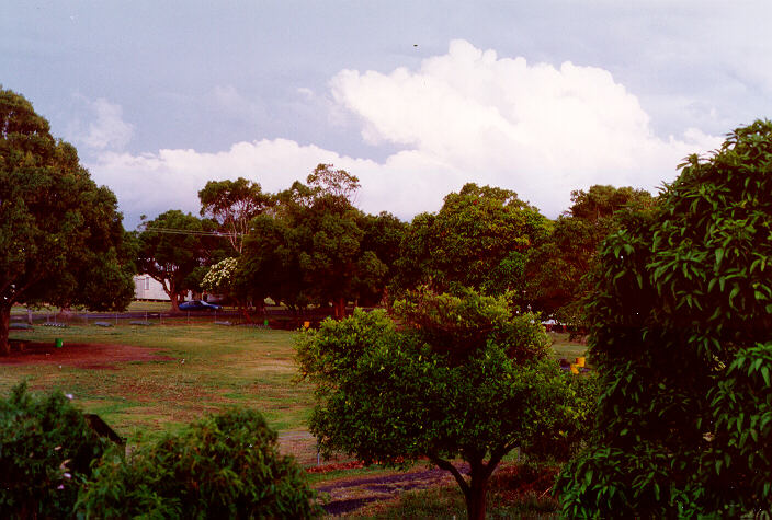 cumulus congestus : Ballina, NSW   22 November 1988