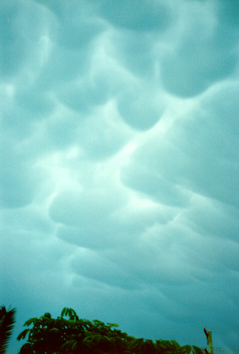mammatus mammatus_cloud : Ballina, NSW   19 January 1989