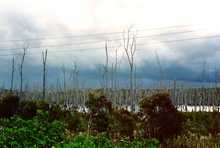 cumulonimbus thunderstorm_base : Belmont, NSW   1 July 1990