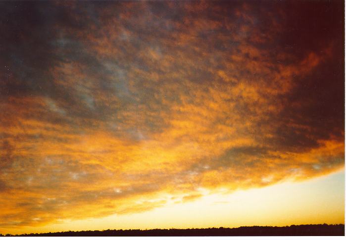 altostratus altostratus_cloud : Schofields, NSW   22 July 1990