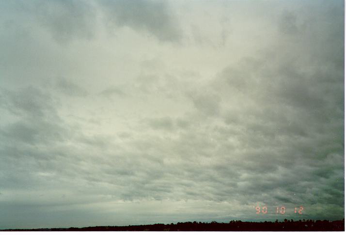 nimbostratus nimbostratus_cloud : Schofields, NSW   12 October 1990