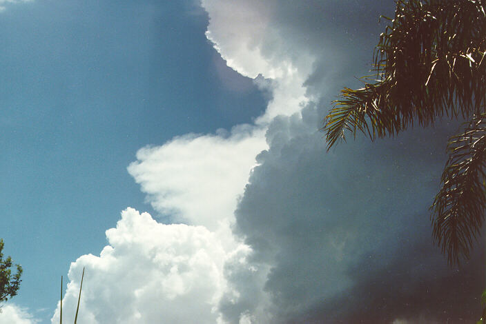 updraft thunderstorm_updrafts : Ballina, NSW   27 January 1991