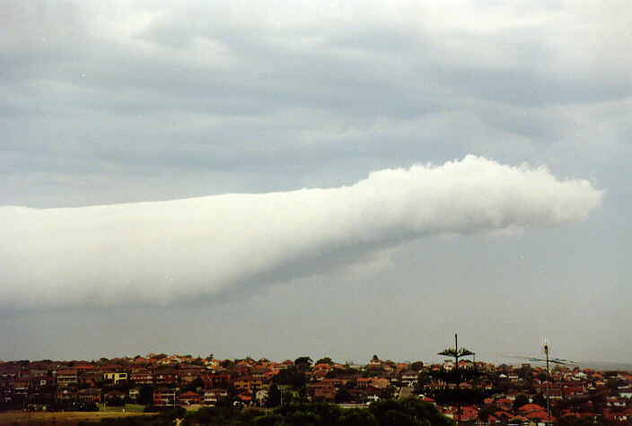 rollcloud roll_cloud : Coogee, NSW   5 February 1991