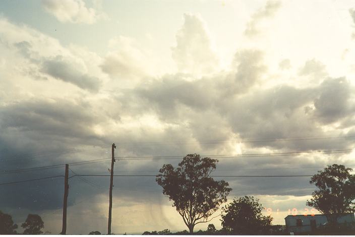 raincascade precipitation_cascade : Schofields, NSW   25 October 1991
