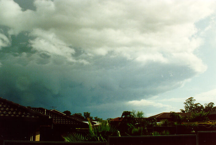 cumulonimbus thunderstorm_base : Oakhurst, NSW   16 November 1991