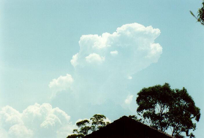 cumulus congestus : Oakhurst, NSW   8 December 1991