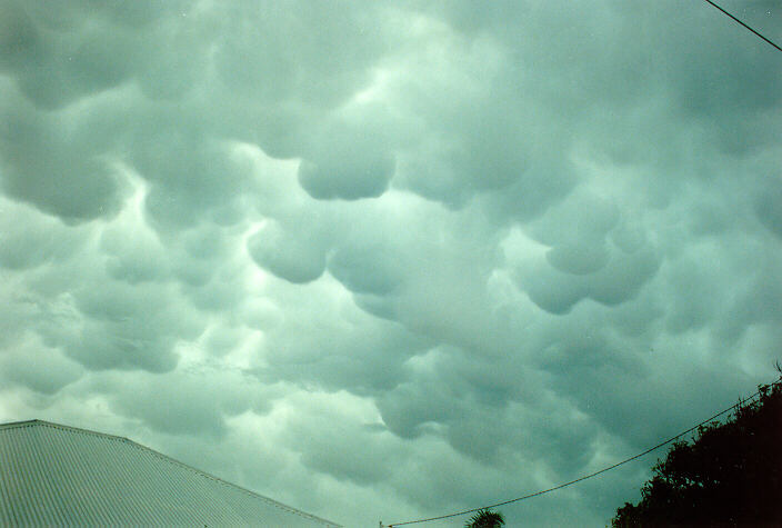 mammatus mammatus_cloud : Ballina, NSW   22 December 1991