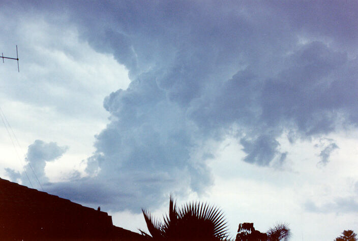 cumulus congestus : Oakhurst, NSW   22 January 1992