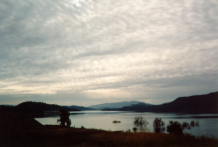 contributions received : near Muswellbrook, NSW<BR>Photo by Paul Mitchell   1 September 1992