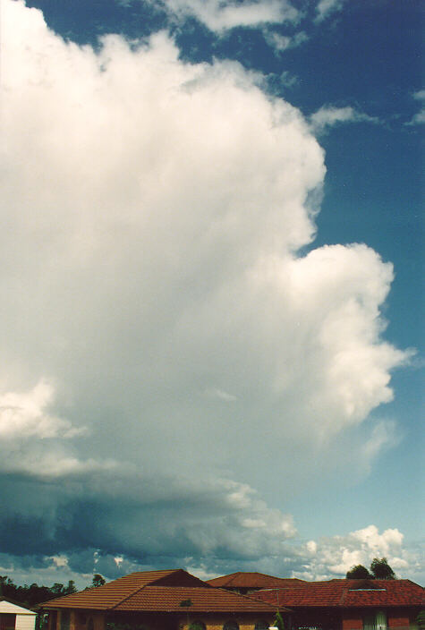 thunderstorm cumulonimbus_calvus : Oakhurst, NSW   18 October 1992