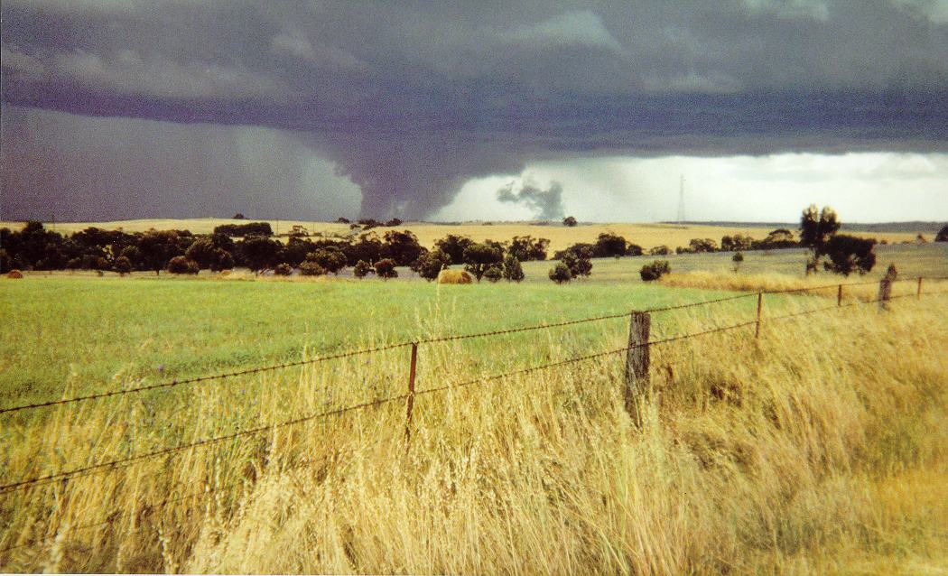 contributions received : ooleroo, SA<BR>Photo by Wayne McCallum   1 November 1992