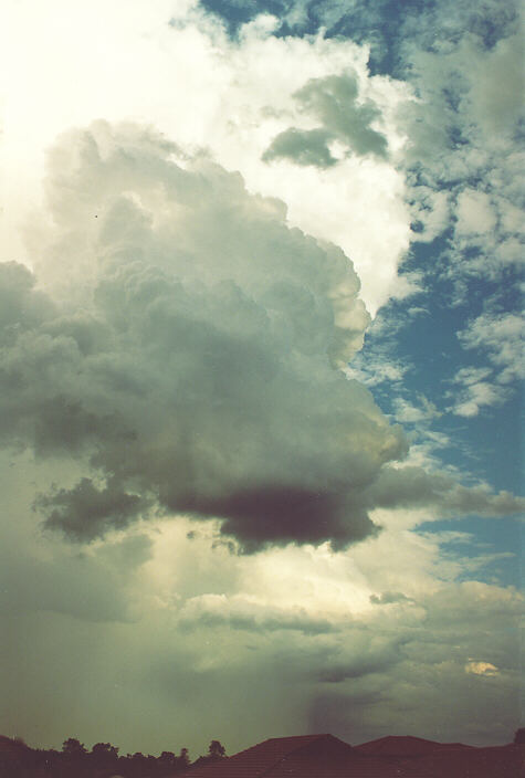 updraft thunderstorm_updrafts : Oakhurst, NSW   24 January 1993