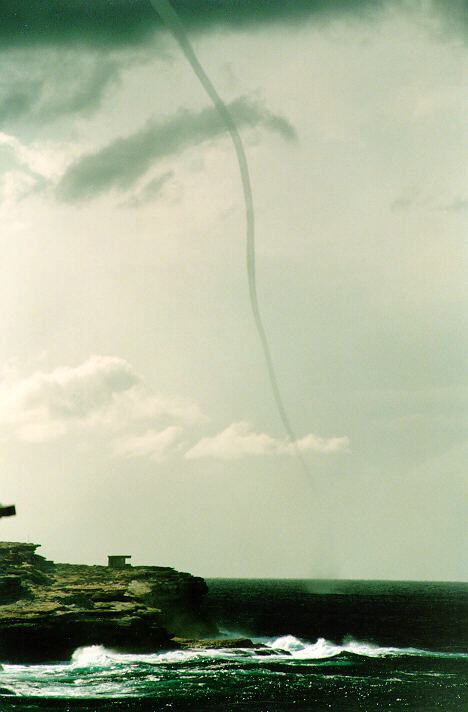 contributions received : Malabar, NSW<BR>Photo by Anna Foley   29 March 1993