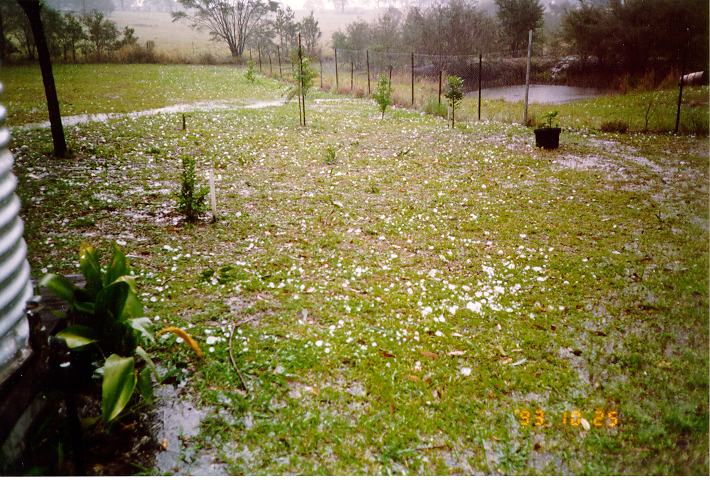 hailstones hail_stones : Wyee, NSW   25 October 1993