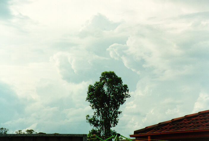 thunderstorm cumulonimbus_calvus : Oakhurst, NSW   13 November 1993
