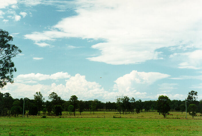 altocumulus lenticularis : Marsden Park, NSW   18 November 1993