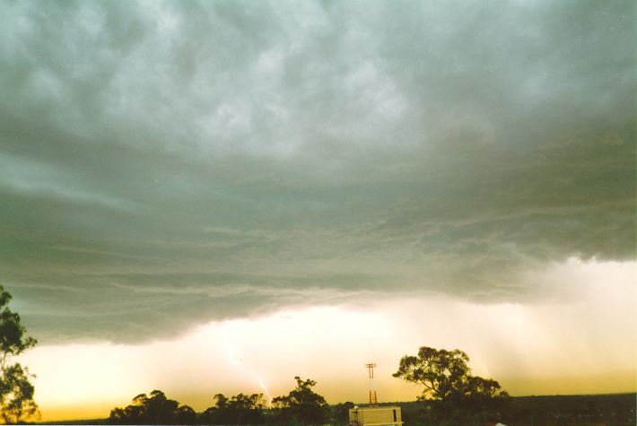 cumulonimbus thunderstorm_base : Riverstone, NSW   19 November 1993