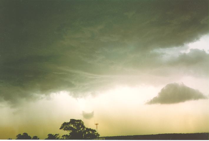 raincascade precipitation_cascade : Riverstone, NSW   19 November 1993