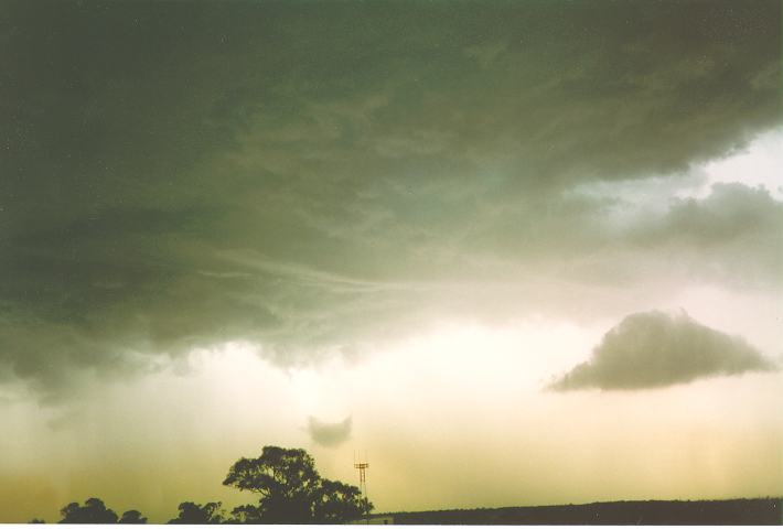 cumulonimbus thunderstorm_base : Riverstone, NSW   19 November 1993