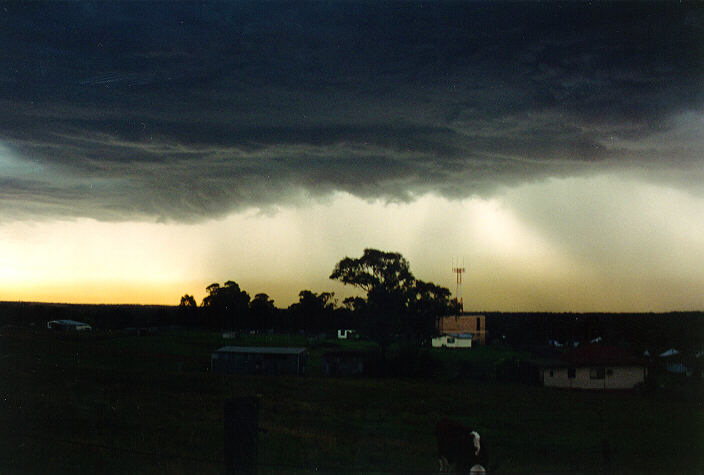 raincascade precipitation_cascade : Riverstone, NSW   19 November 1993