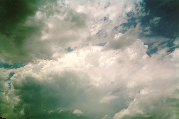 pileus pileus_cap_cloud : Schofields, NSW   4 December 1993