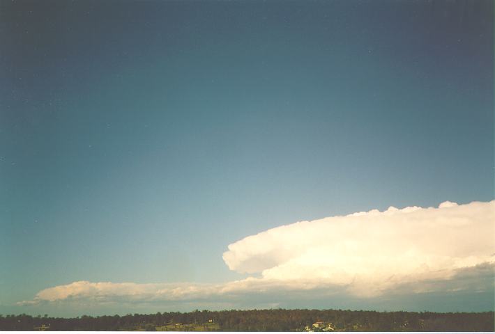 cumulonimbus supercell_thunderstorm : Schofields, NSW   26 December 1993