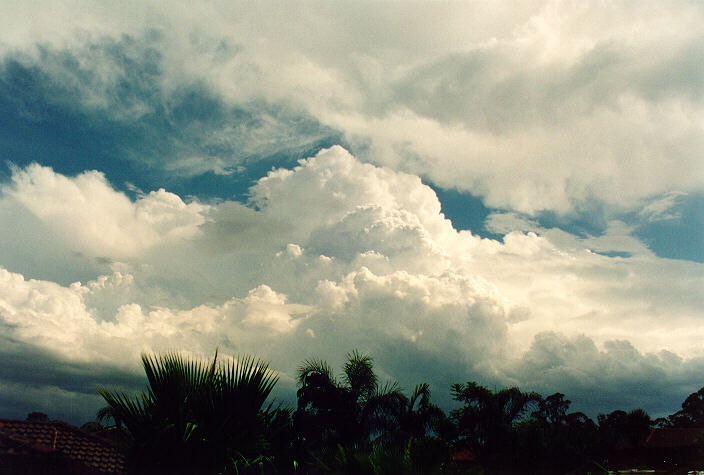 thunderstorm cumulonimbus_calvus : Oakhurst, NSW   17 January 1994