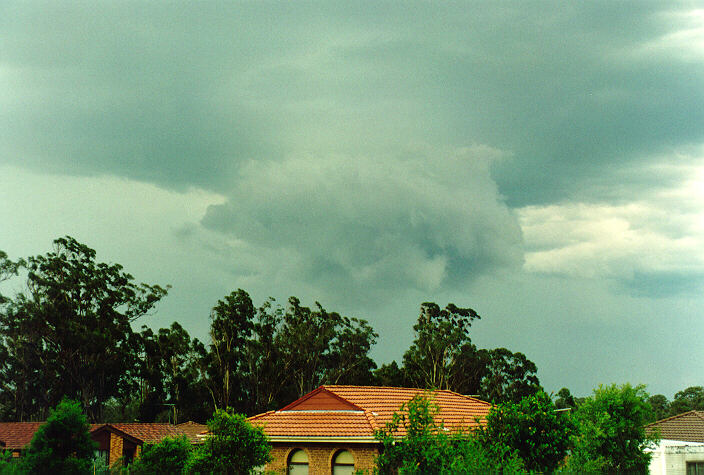 cumulonimbus thunderstorm_base : Oakhurst, NSW   17 January 1994