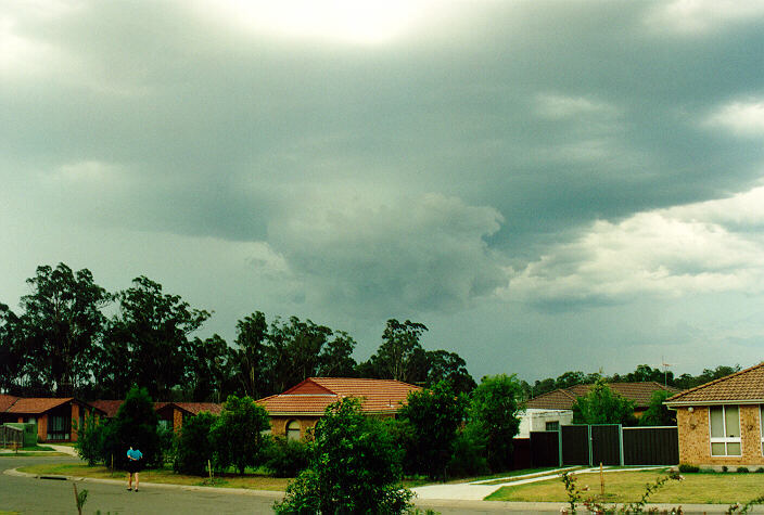 cumulonimbus thunderstorm_base : Oakhurst, NSW   17 January 1994