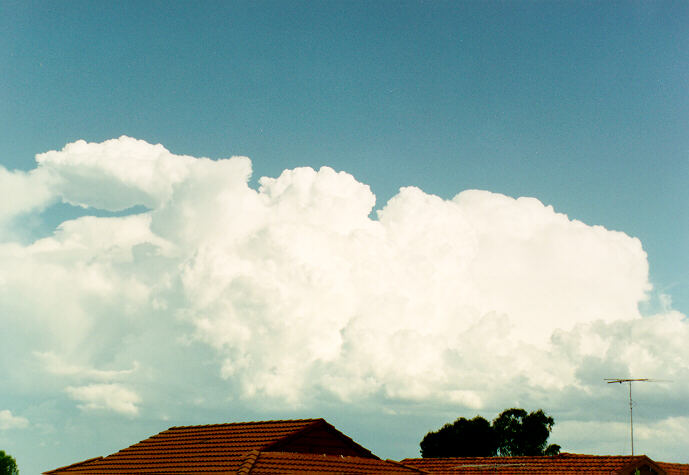cumulus congestus : Oakhurst, NSW   16 February 1994