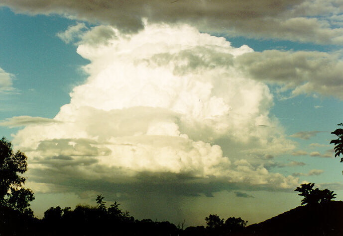 thunderstorm cumulonimbus_calvus : Oakhurst, NSW   1 May 1994