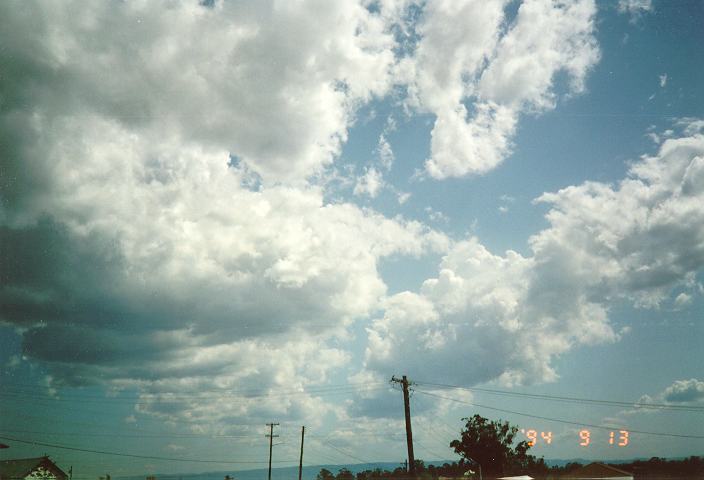 cumulus mediocris : Schofields, NSW   13 September 1994