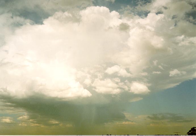 thunderstorm cumulonimbus_incus : Schofields, NSW   13 September 1994