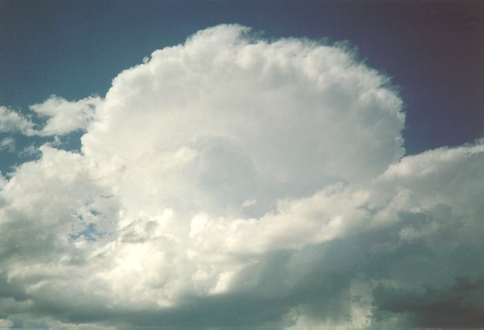 thunderstorm cumulonimbus_incus : Schofields, NSW   13 September 1994