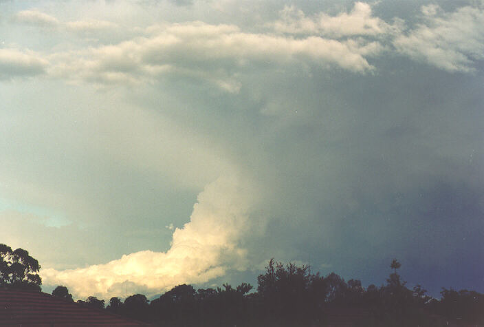 updraft thunderstorm_updrafts : Oakhurst, NSW   4 November 1994