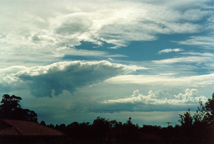 altocumulus castellanus : Oakhurst, NSW   20 November 1994