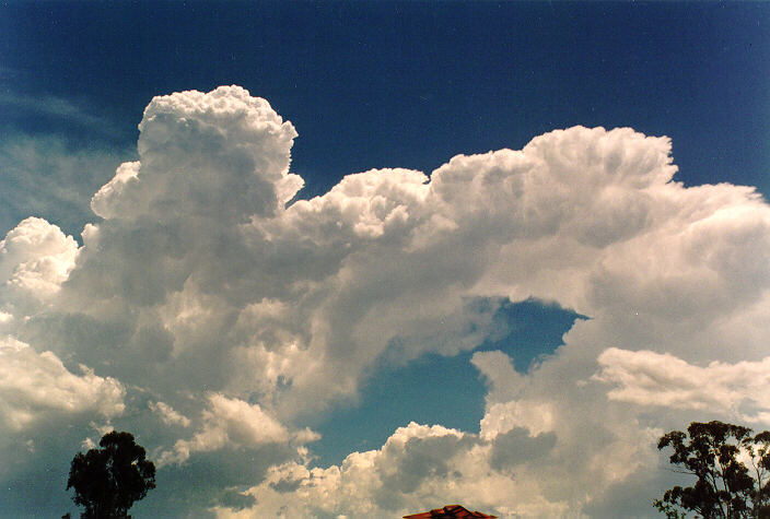 cumulus congestus : Oakhurst, NSW   26 November 1994