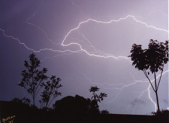 contributions received : Devonport, TAS<BR>Photo by Andrew Boskell   1 January 1995