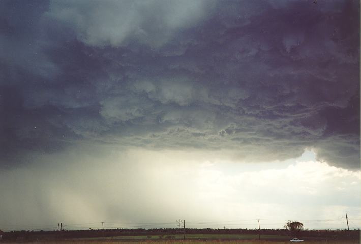 wallcloud thunderstorm_wall_cloud : Schofields, NSW   1 January 1995