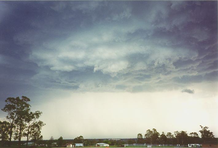 cumulonimbus thunderstorm_base : Schofields, NSW   1 January 1995