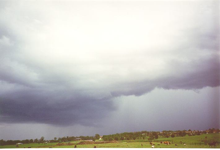 cumulonimbus thunderstorm_base :    5 January 1995