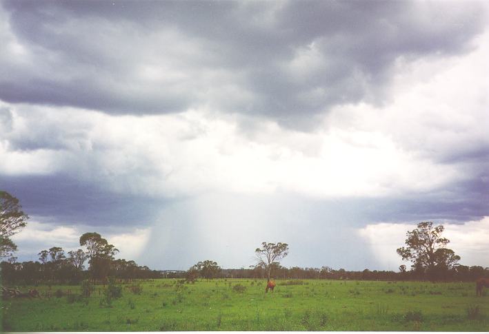 favourites jimmy_deguara : Rooty Hill, NSW   6 January 1995