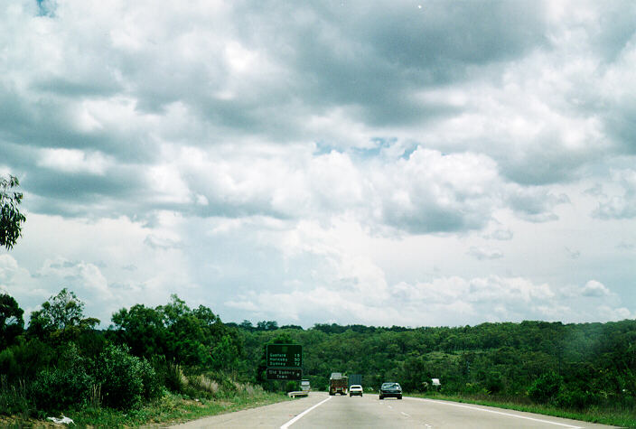 cumulus congestus : Gosford, NSW   6 January 1995