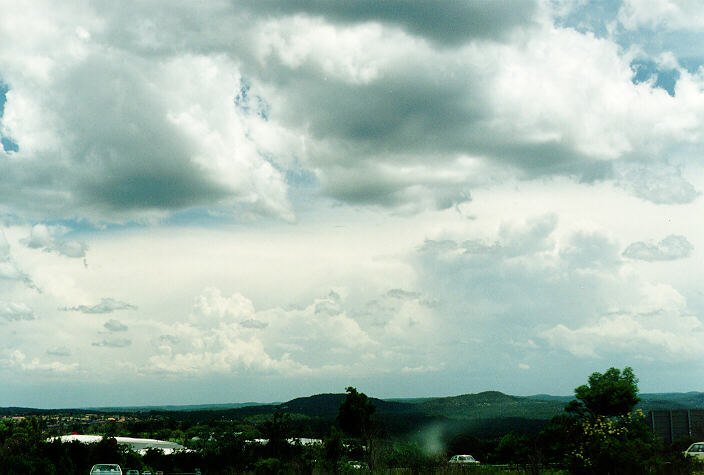 thunderstorm cumulonimbus_calvus : Gosford, NSW   6 January 1995