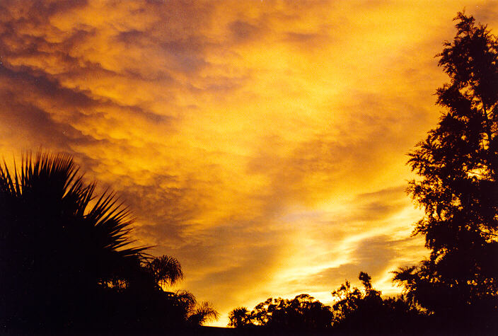 mammatus mammatus_cloud : Oakhurst, NSW   6 January 1995