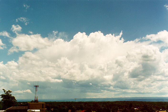 thunderstorm cumulonimbus_calvus : Riverstone, NSW   29 January 1995